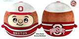 OHIO STATE BRUTUS BUCKEYE KIRI CLOUD 12” PLUSH PILLOW