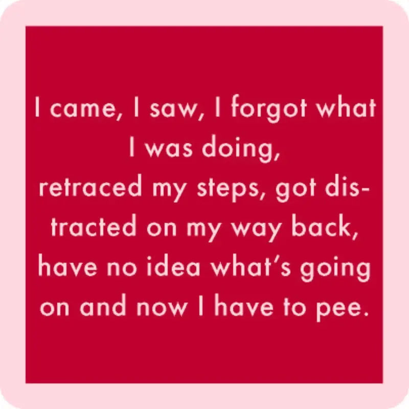 I came, I saw, coaster