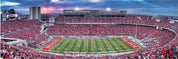 closeup puzzle, the shoe, ohio state university