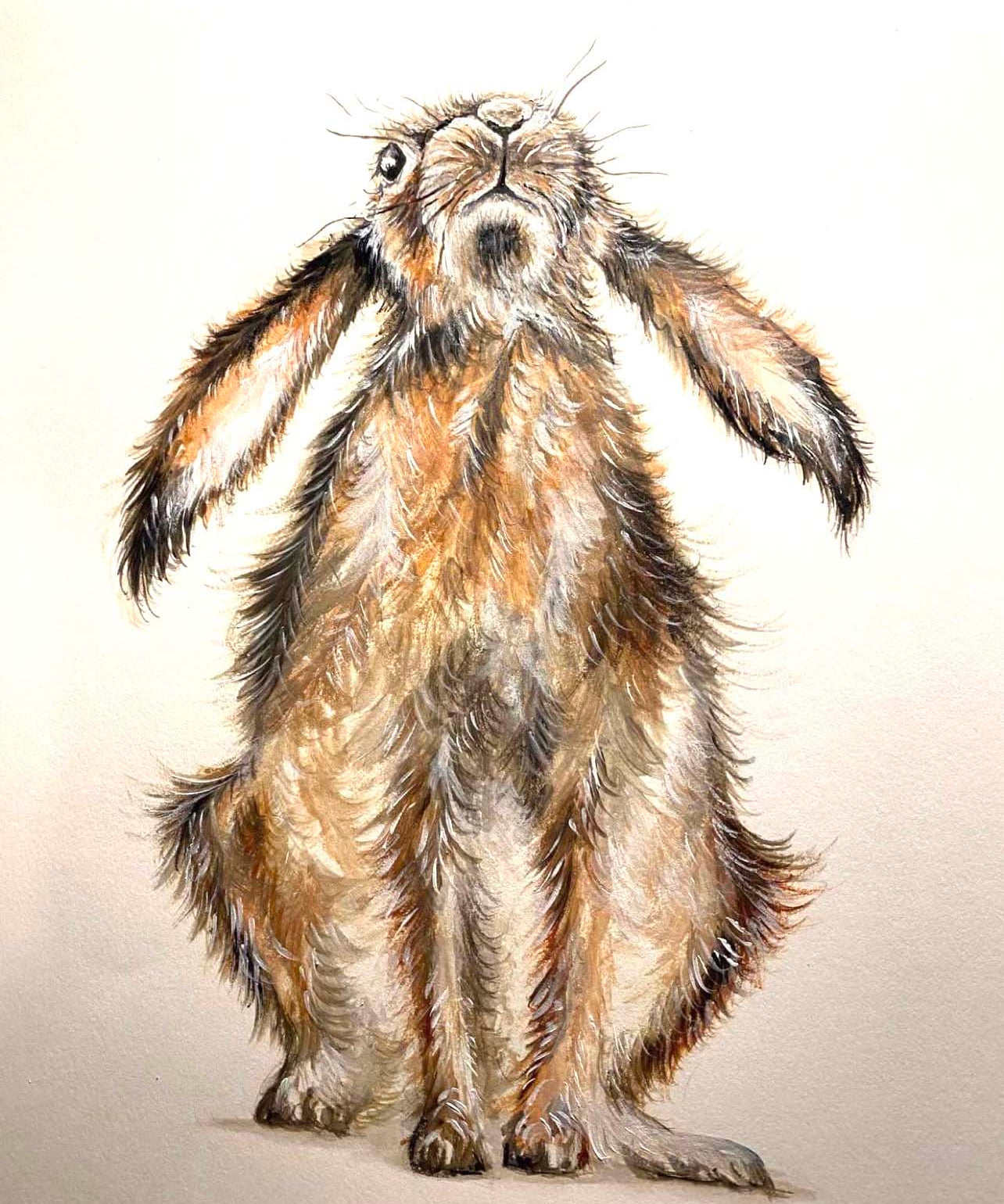 Wild Hair Day by "Skeeter"