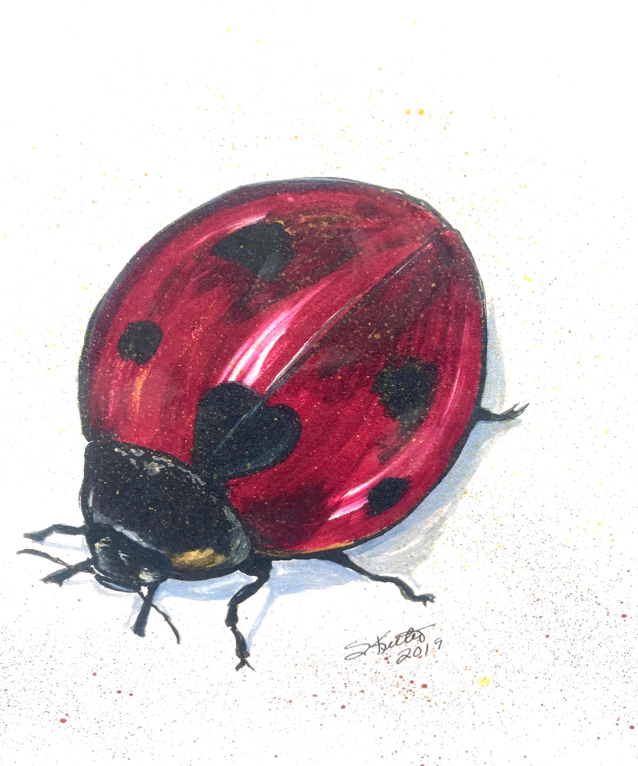 ACRYLIC PRINT, LADYBUG AND GOOD FORTUNE