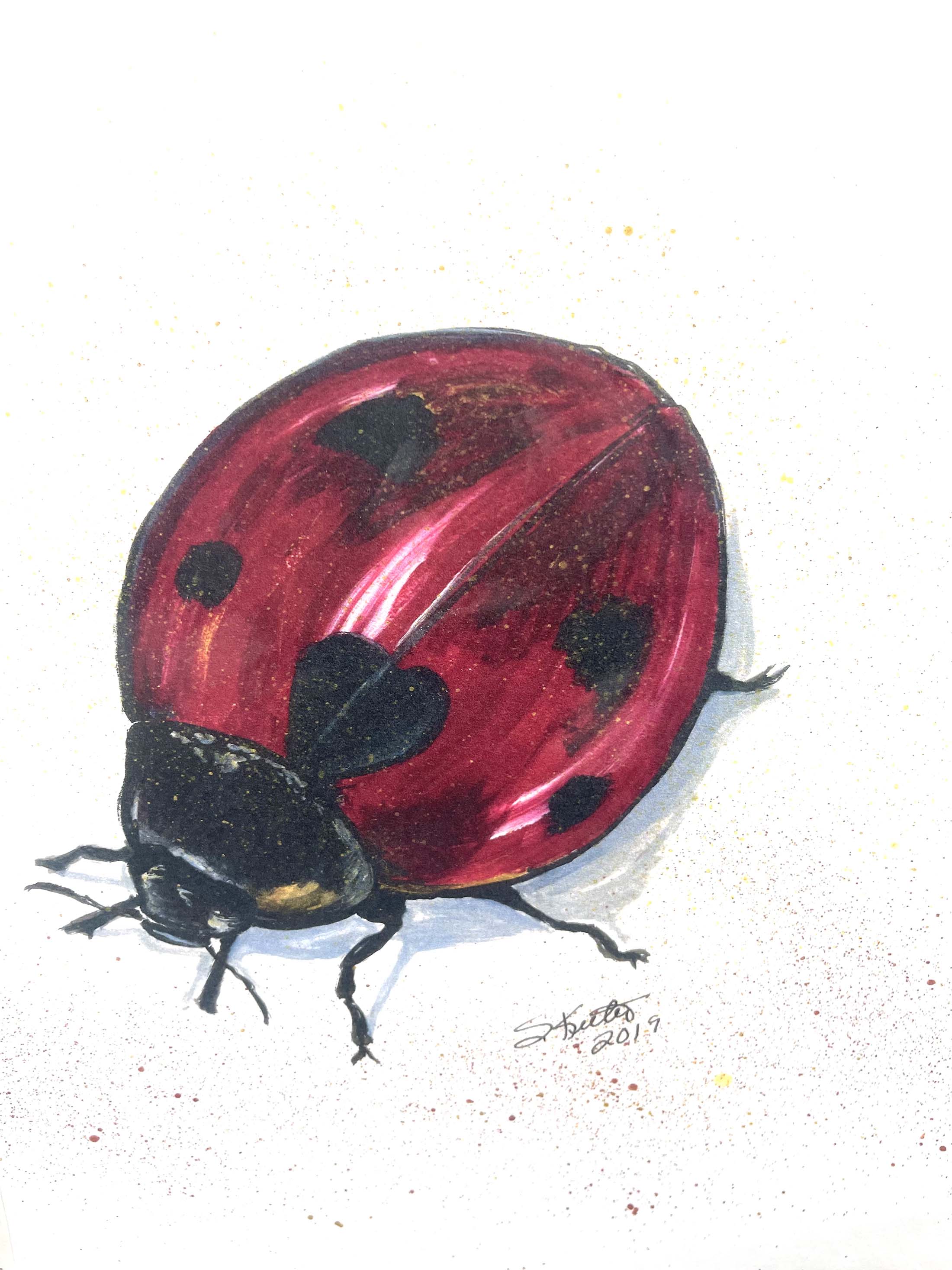 ACRYLIC PRINT, LADYBUG AND GOOD FORTUNE