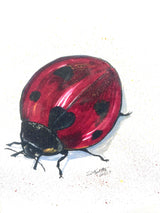 LADY LOVE BUG BY "SKEETER"