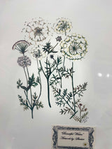 BEAUTIFUL WISHES BY "SKEETER"