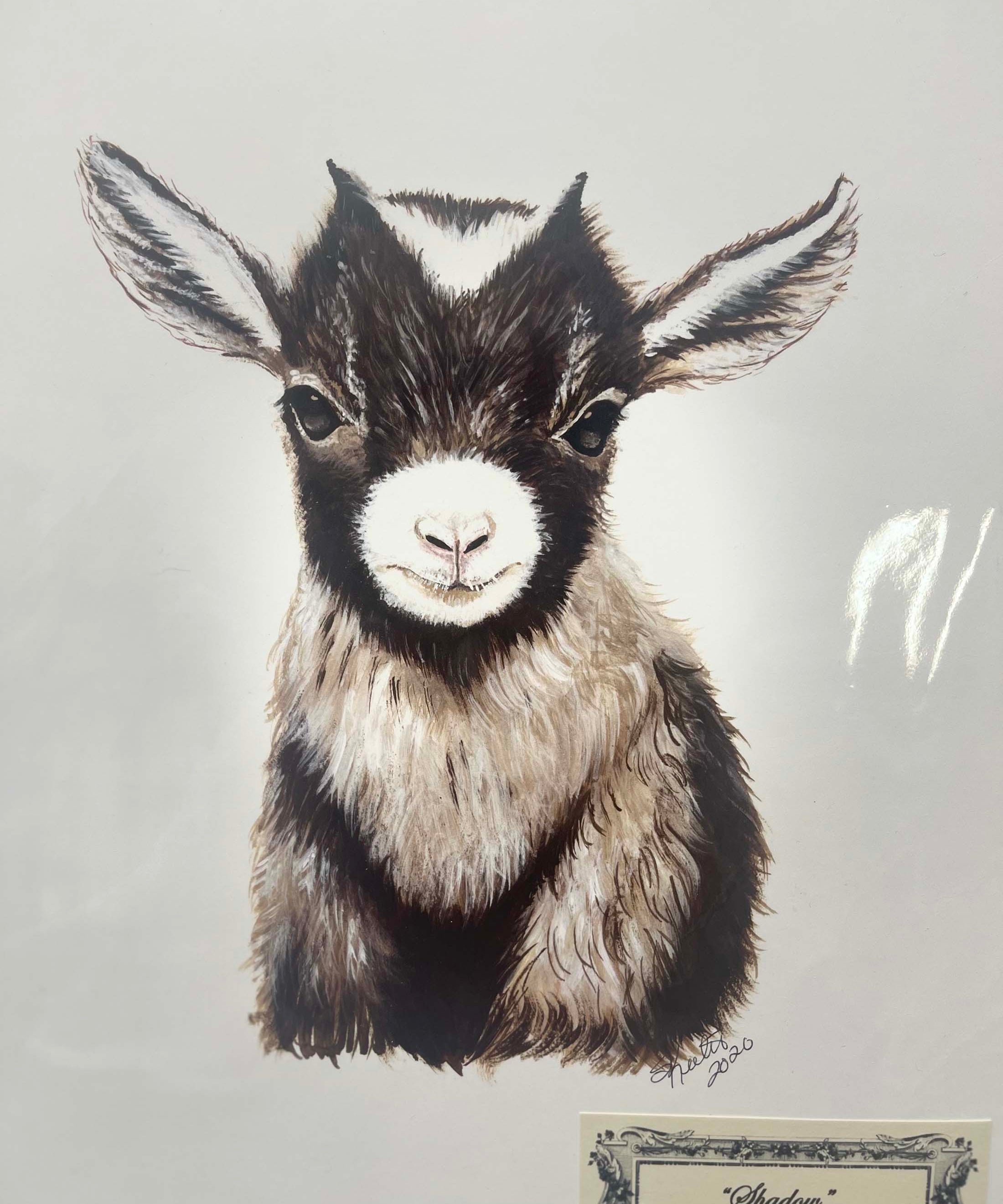 watercolor, kids, baby goat